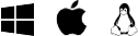 Windows Icon